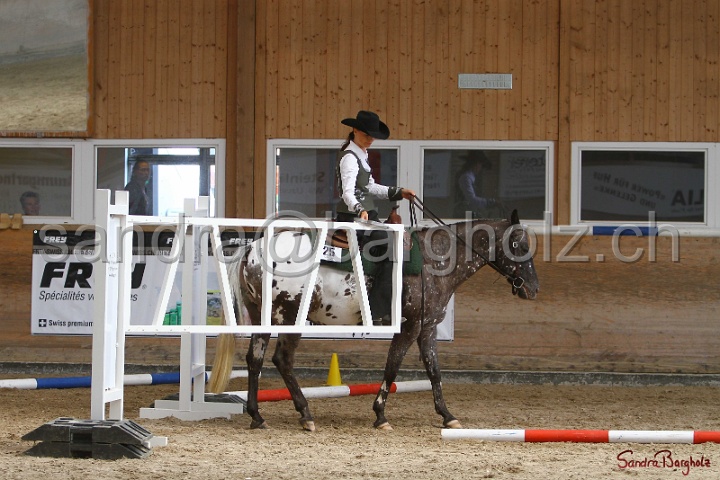 26-ApHC GT_120.jpg
